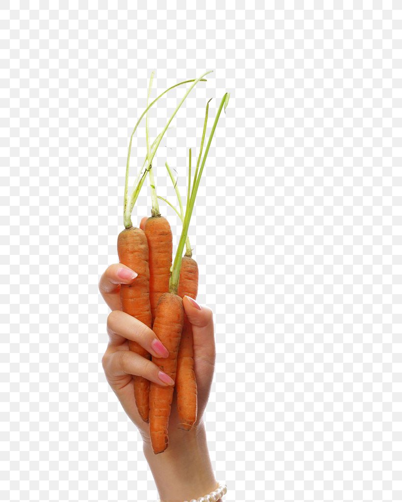 Carrot Vegetable Radish, PNG, 680x1024px, Carrot, Bacon, Carrot Creative, Daucus Carota, Finger Download Free