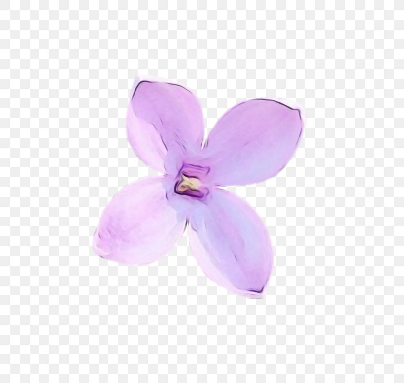 Violet Petal Purple Flower Lilac, PNG, 800x778px, Watercolor, Dendrobium, Flower, Flowering Plant, Lilac Download Free