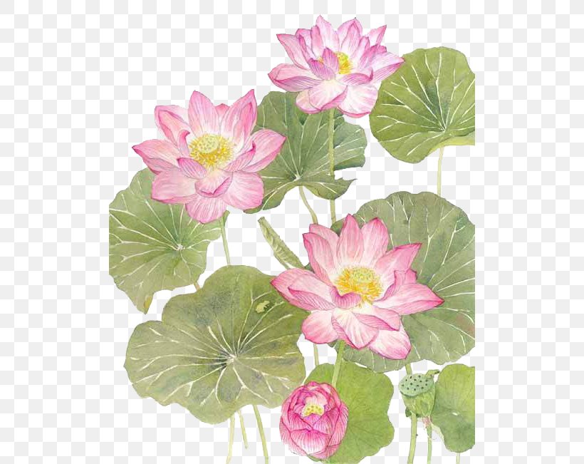 Watercolor Lotus, PNG, 514x651px, Nelumbo Nucifera, Annual Plant, Aquatic Plant, Art, Artificial Flower Download Free