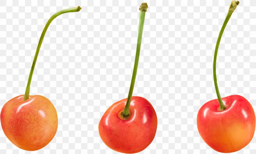 Clip Art, PNG, 3537x2136px, Cherry, Bell Peppers And Chili Peppers, Diet Food, Display Resolution, Food Download Free