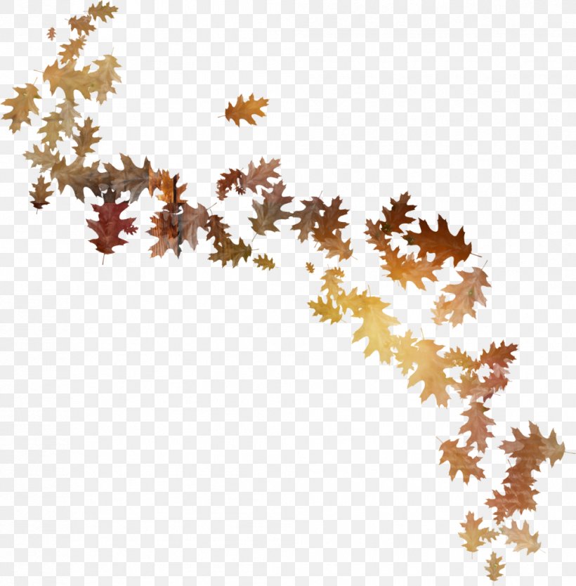 Flower Leaf Clip Art, PNG, 1006x1024px, Flower, Autumn, Branch, Brown, Leaf Download Free