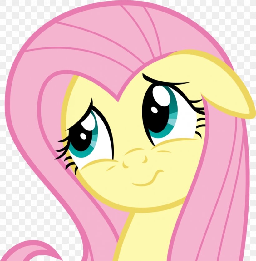 Fluttershy Pony Derpy Hooves Rarity, PNG, 885x903px, Watercolor, Cartoon, Flower, Frame, Heart Download Free