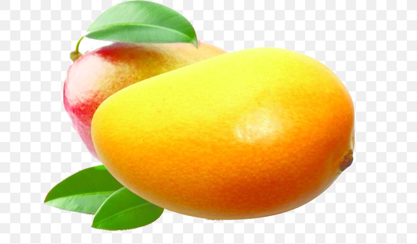 Mango Dried Fruit Food Wallpaper, PNG, 650x481px, Mango, Citric Acid, Citrus, Diet Food, Dried Fruit Download Free