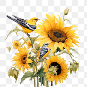 National Sunflower Day - Sunflowers With Birds In Garden PNG