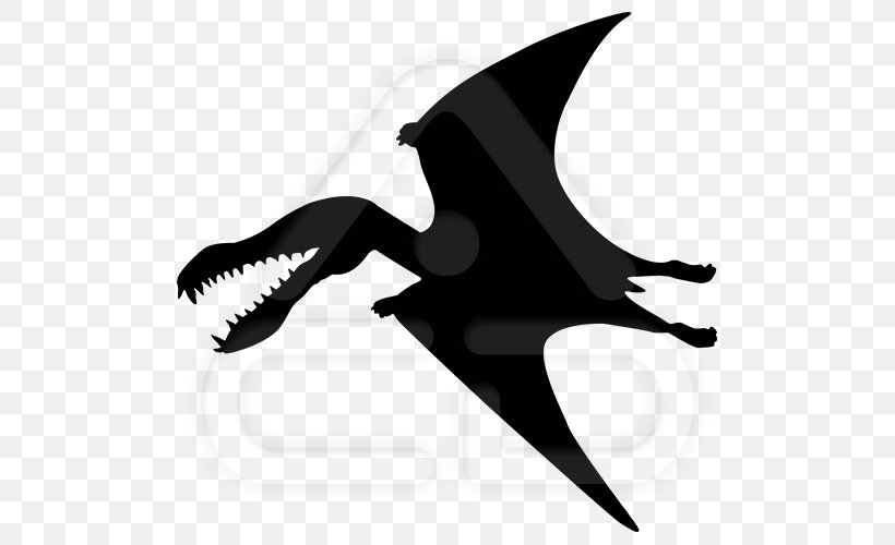Pterodactyls Kentrosaurus Pterosaurs Triceratops Dinosaur, PNG, 500x500px, Pterodactyls, Archaeopteryx, Beak, Black And White, Cretaceous Download Free