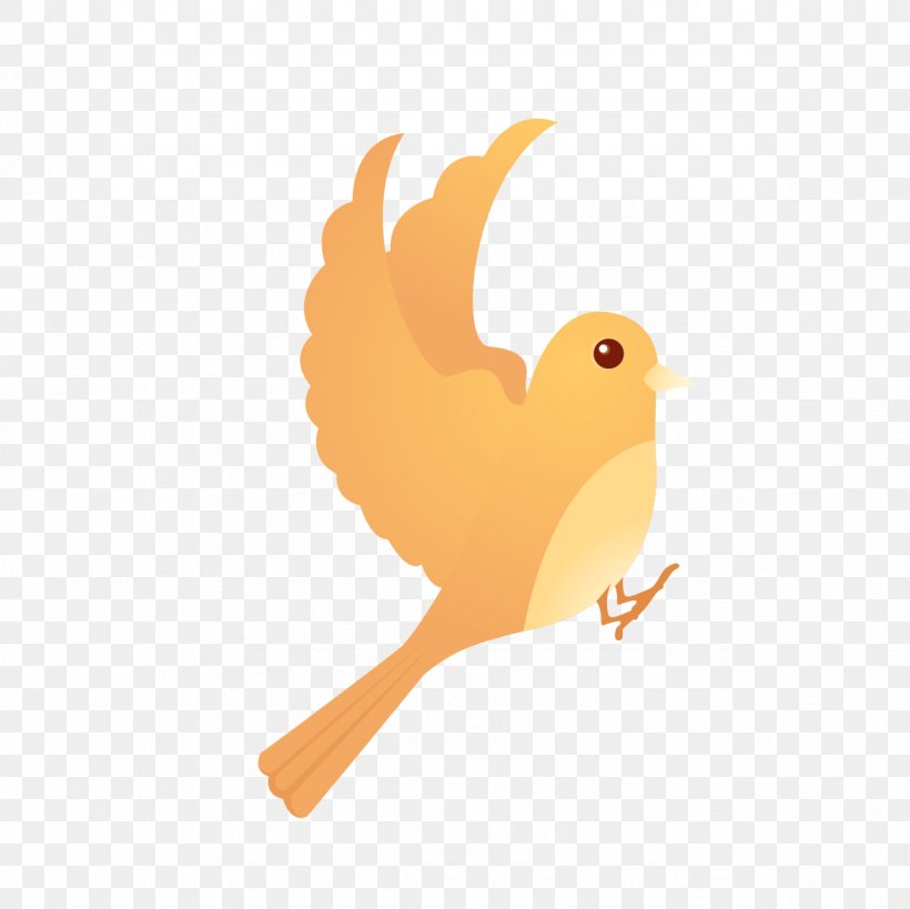 Bird Flight Clip Art, PNG, 1181x1181px, Bird, Beak, Bird Flight, Chicken, Fauna Download Free