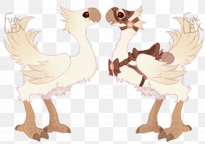 Chicken - Final Fantasy XIV Chocobo Chicken Sugar Flightless Bird PNG