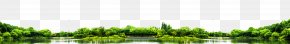 Yunnan Daming Lake - Grasses Green Water Tree PNG