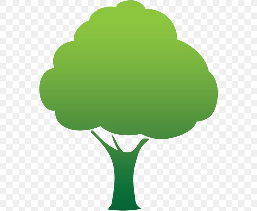 Oak Tree Leaf, PNG, 572x674px, Tree, Broccoli, Forest, Garden, Garden Design Download Free