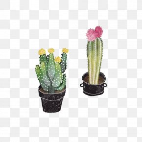 Prickly Pear Cactus Flowers Open - Opuntioideae Succulent Plant Drawing Illustration PNG