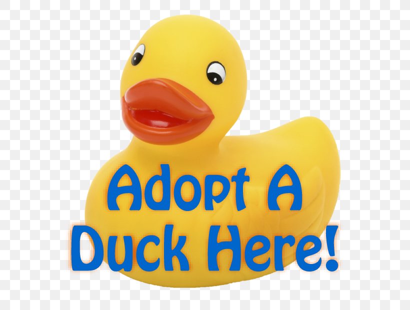 Rubber Duck 2018 Kentucky Derby Adoption Yellow, PNG, 717x620px, 2018 Kentucky Derby, Duck, Adoption, Beak, Bird Download Free