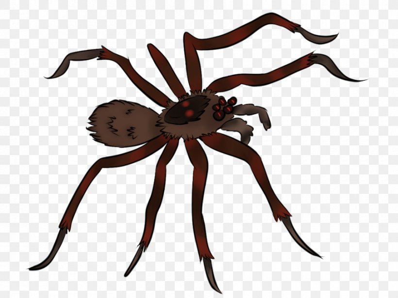 Spider Animation Clip Art, PNG, 900x675px, Spider, Animal Figure, Animation, Arachnid, Arthropod Download Free