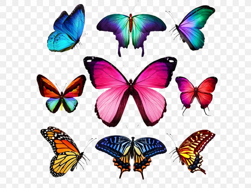 Butterfly Stock Photography Royalty-free Illustration, PNG, 1134x850px, Butterfly, Arthropod, Brush Footed Butterfly, Color, Fotosearch Download Free