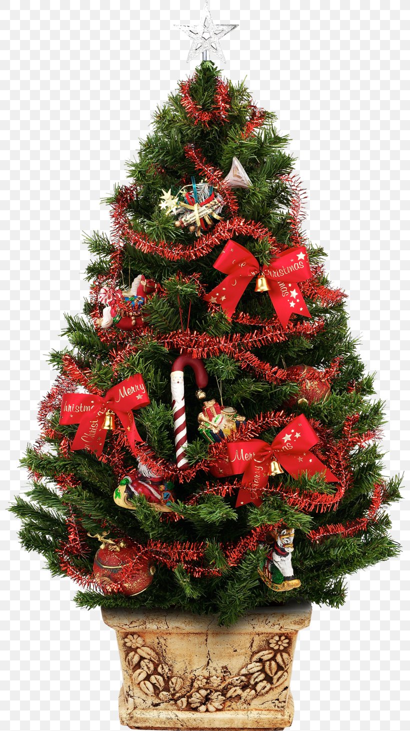 Christmas Tree Santa Claus Christmas Decoration Christmas Ornament, PNG, 800x1461px, Christmas, Artificial Christmas Tree, Christmas Decoration, Christmas Ornament, Christmas Tree Download Free