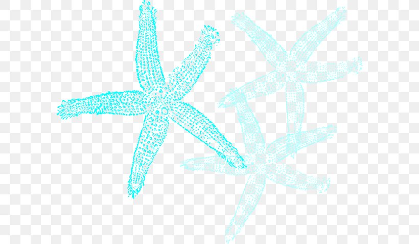 Starfish Blue Sand Dollar Clip Art, PNG, 600x477px, Starfish, Aqua, Azure, Blue, Computer Download Free