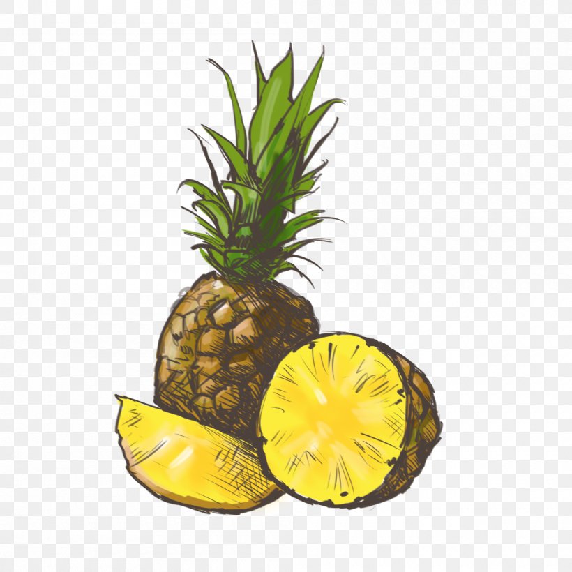 Pineapple Grapefruit Juice Orange Juice, PNG, 1000x1000px, Pineapple, Ananas, Apple, Auglis, Bromeliaceae Download Free
