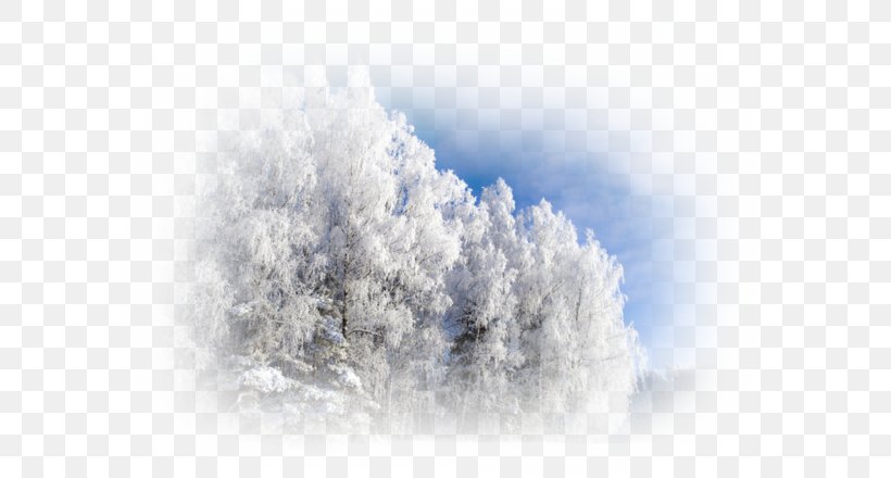 Winter Snow Advertising Image Resolution, PNG, 600x440px, Winter, Advertising, Blue, Cloud, Editing Download Free