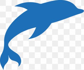 Blue Dolphin - Common Bottlenose Dolphin Swimming Pool Tamarac Parkland PNG