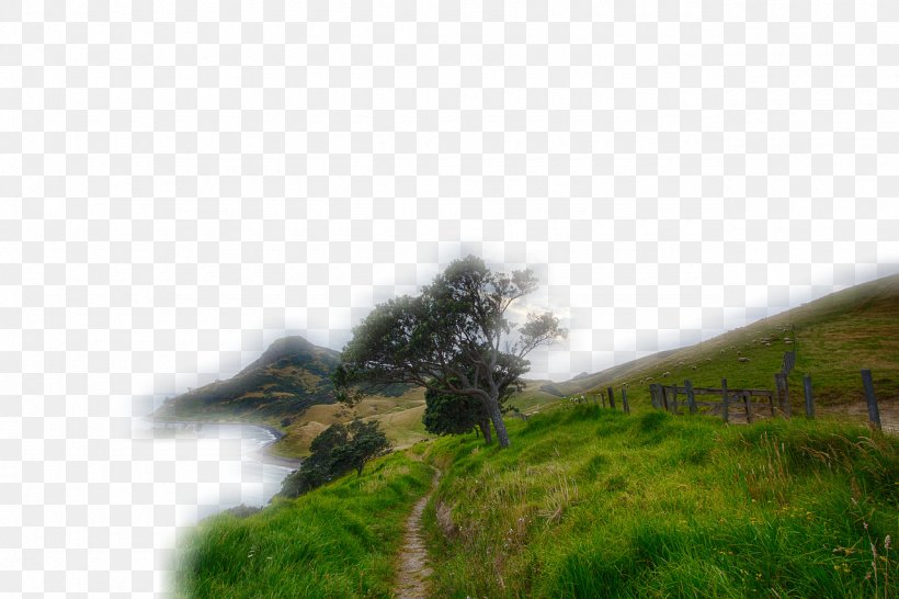 Landscape Scenery Terrain, PNG, 1280x853px, Landscape, Cloud, Ecosystem, Fog, Forest Download Free