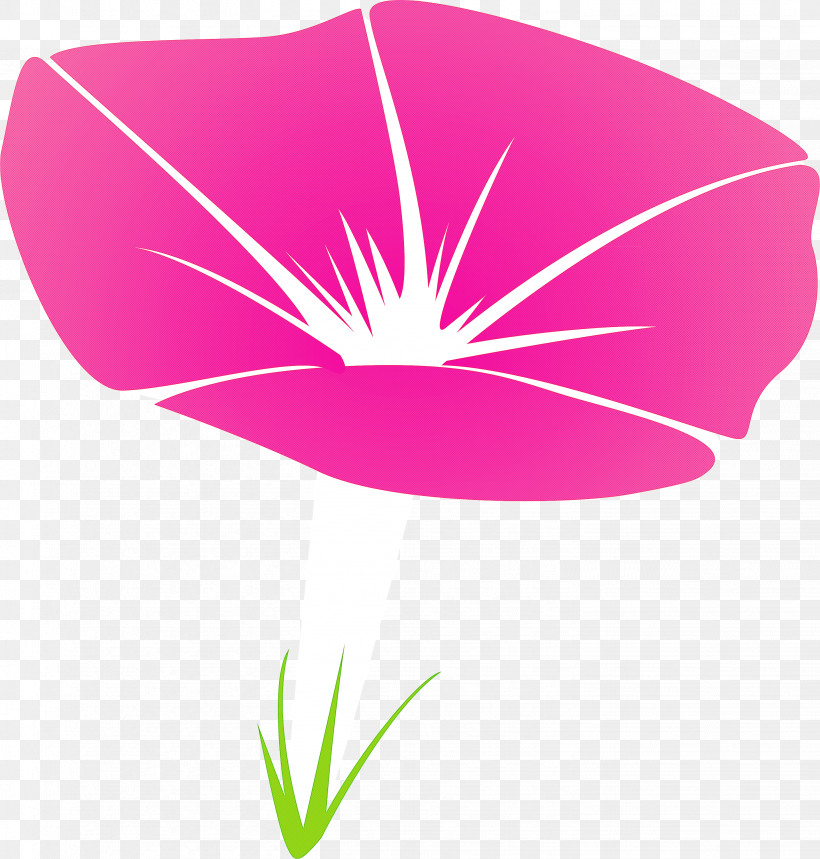 Morning Glory Flower, PNG, 2862x3000px, Morning Glory Flower, Flower, Leaf, Logo, Magenta Download Free