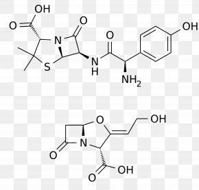 Elimination Of Blood Germs - Ampicillin Amoxicillin/clavulanic Acid Sigma-Aldrich PNG
