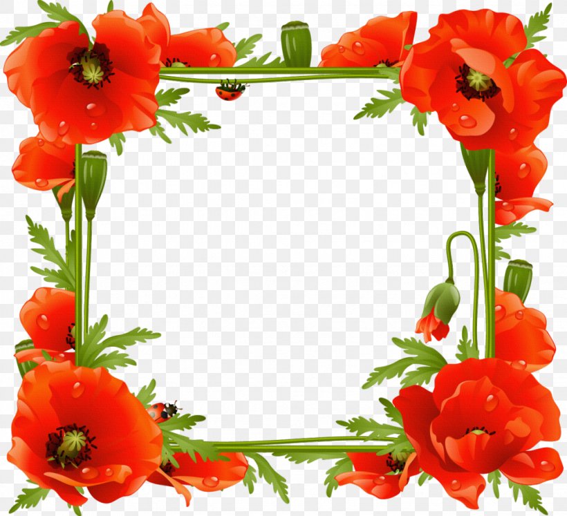 Common Poppy Picture Frames Flower, PNG, 1123x1024px, Poppy, Common Daisy, Common Poppy, Coquelicot, Cut Flowers Download Free