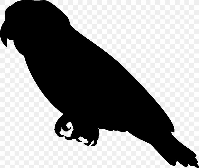 Amazon Parrot Silhouette Clip Art, PNG, 1094x923px, Amazon Parrot, Artwork, Beak, Bird, Black Download Free