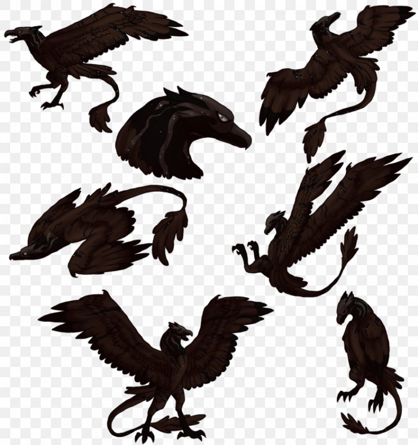 Bald Eagle Buzzard Hawk Vulture Beak, PNG, 866x922px, Bald Eagle, Beak, Bird, Bird Of Prey, Black And White Download Free
