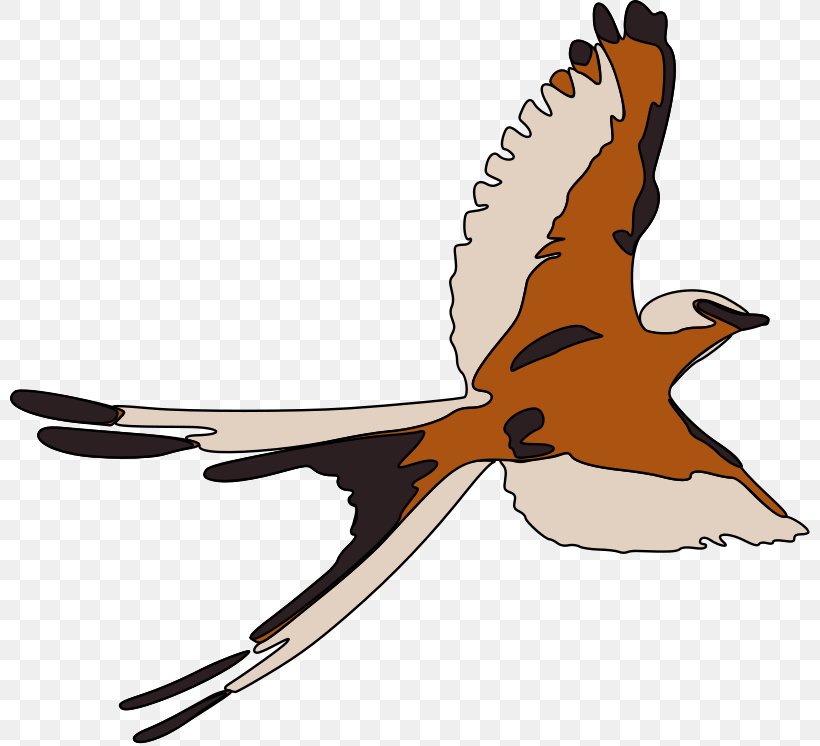 Bird Flight Bird Flight Swallow Clip Art, PNG, 800x746px, Bird, Beak, Bird Flight, Bird Of Prey, Black Kite Download Free