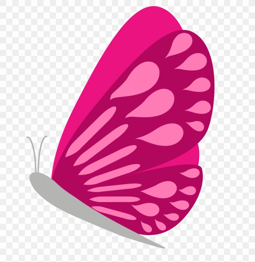 Blume Photography Tulip Spring Clip Art, PNG, 910x936px, Blume, Butterfly, Flower, Insect, Invertebrate Download Free