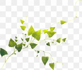 Flower - Flower Vine Blue Clip Art PNG