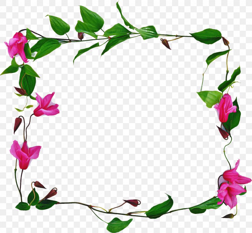 Flowers Background, PNG, 1623x1500px, Floral Design, Cut Flowers, Flower, Leaf, Magenta Download Free