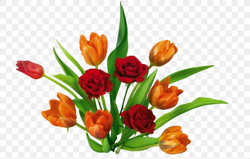 Tulip Flower, PNG, 1878x1200px, Tulip, Blog, Cut Flowers, Floral Design, Floristry Download Free