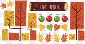 Autumn Rectangle - Autumn Fruit PNG