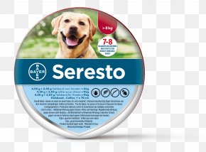 Dog - Dog Collar Cat Dog Collar Flea PNG