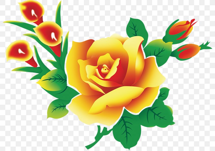 Flower Garden Roses High-definition Television Beach Rose, PNG, 800x577px, Flower, Beach Rose, Cut Flowers, Floral Design, Floristry Download Free
