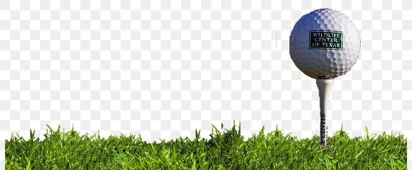 Golf Balls Pitch And Putt Golf Tees Wood, PNG, 800x339px, Golf Balls, Ball, Ball Game, Energy, Football Download Free
