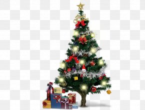 Christmas Tree - Santa Claus Christmas Tree Christmas Ornament Christmas Decoration PNG