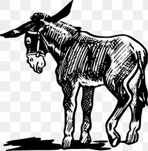 Donkey - Donkey Clip Art PNG