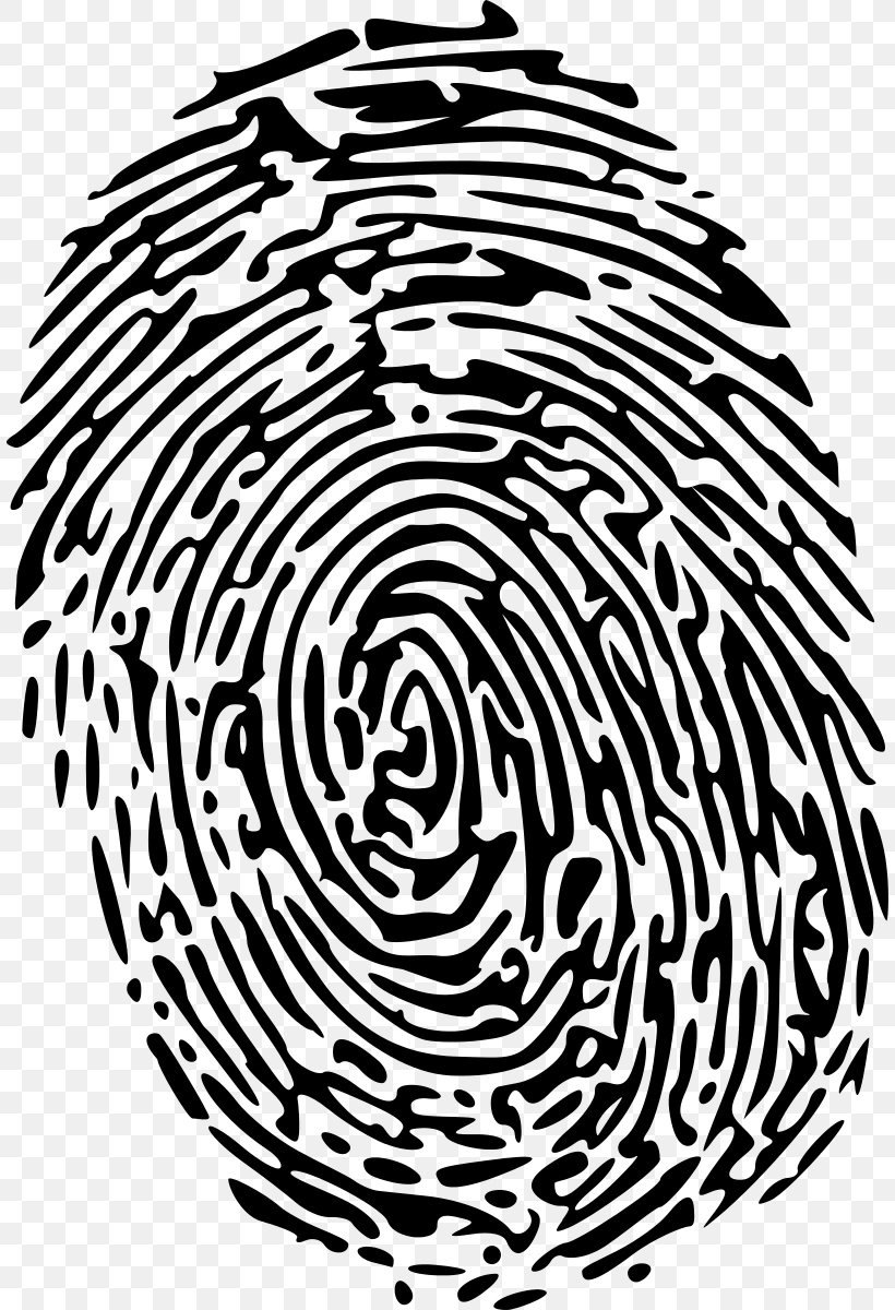 Fingerprint Clip Art, PNG, 808x1200px, Fingerprint, Biometrics, Black And White, Crime, Criminal Investigation Download Free