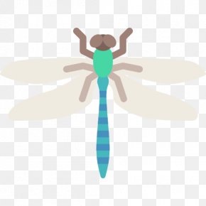 Dragonfly - Insect Ape Butterfly Armadillo PNG