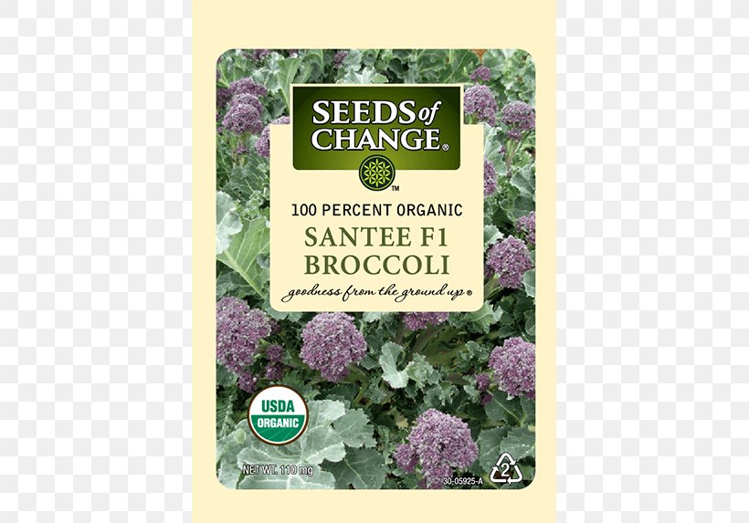 Spring Greens Herb Lettuce Seeds Of Change, PNG, 573x573px, Spring Greens, Broccoli, Certification, Flower, Herb Download Free