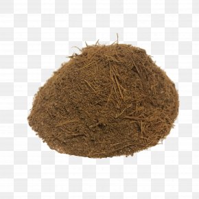 Cat Claw - Tea Italian Cuisine Herb Seasoning Allspice PNG