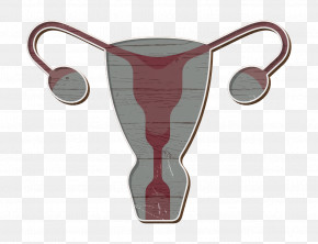 Uterus Icon Maternity Icon PNG