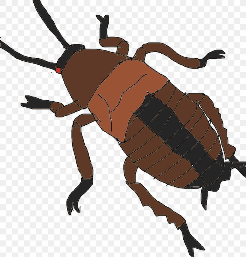 Weevil Dung Beetle Scarab Clip Art, PNG, 875x913px, Weevil, Animal, Arthropod, Beetle, Dung Beetle Download Free
