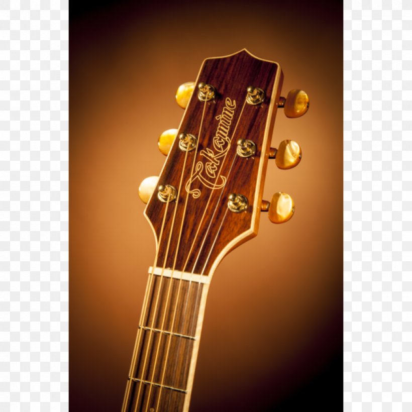 Bass Guitar Acoustic Guitar Acoustic-electric Guitar Takamine Guitars, PNG, 1200x1200px, Watercolor, Cartoon, Flower, Frame, Heart Download Free