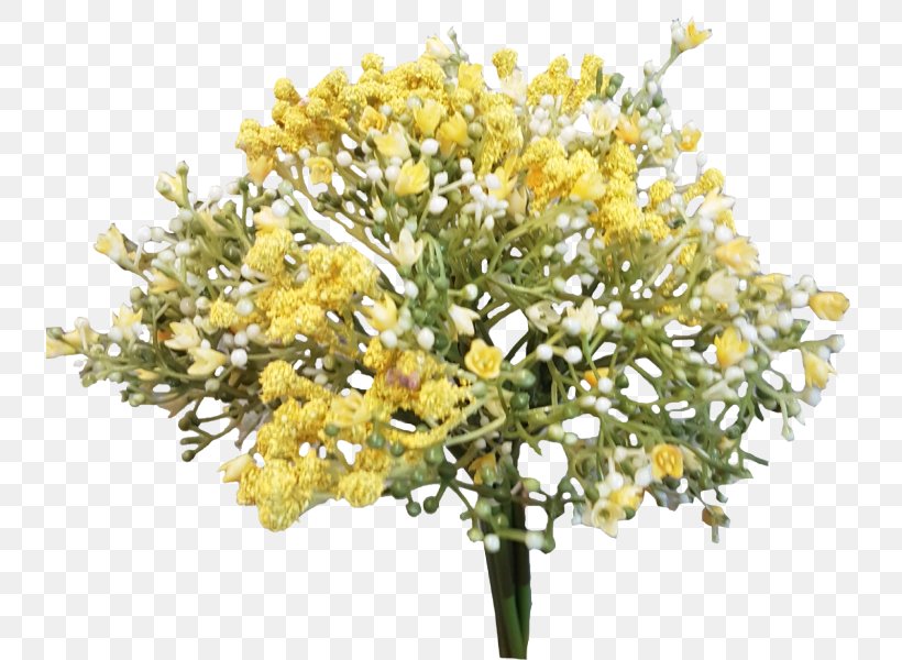 Cut Flowers Branch Twig Plant, PNG, 800x600px, Flower, Branch, Cut Flowers, Plant, Subshrub Download Free