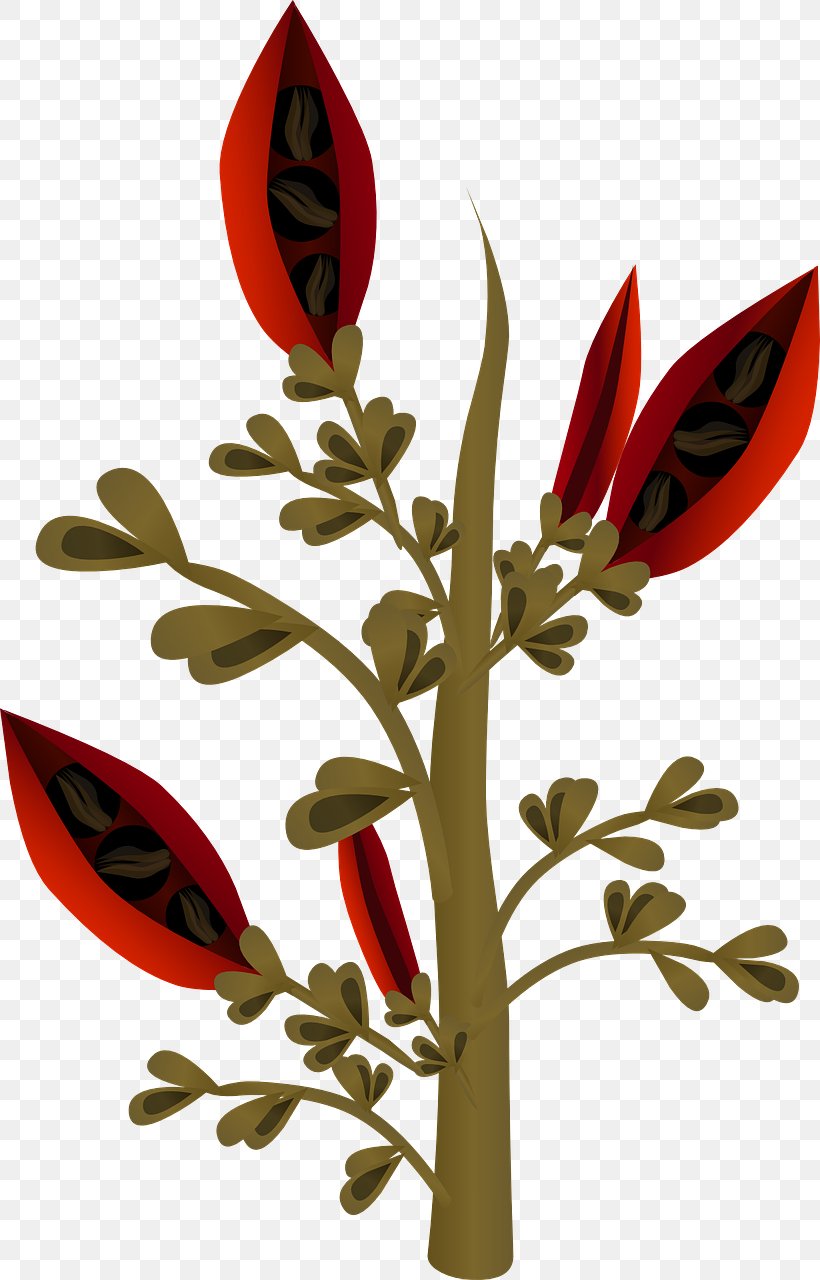 Seed Plant Clip Art, PNG, 820x1280px, Seed, Branch, Floral Design, Floristry, Flower Download Free