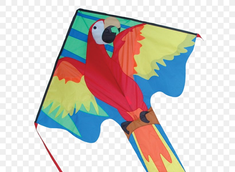 St. Augustine Kitesurfing Macaw Flight, PNG, 600x600px, St Augustine, Area, Beak, Bird, Boutique Vent En Fete Download Free