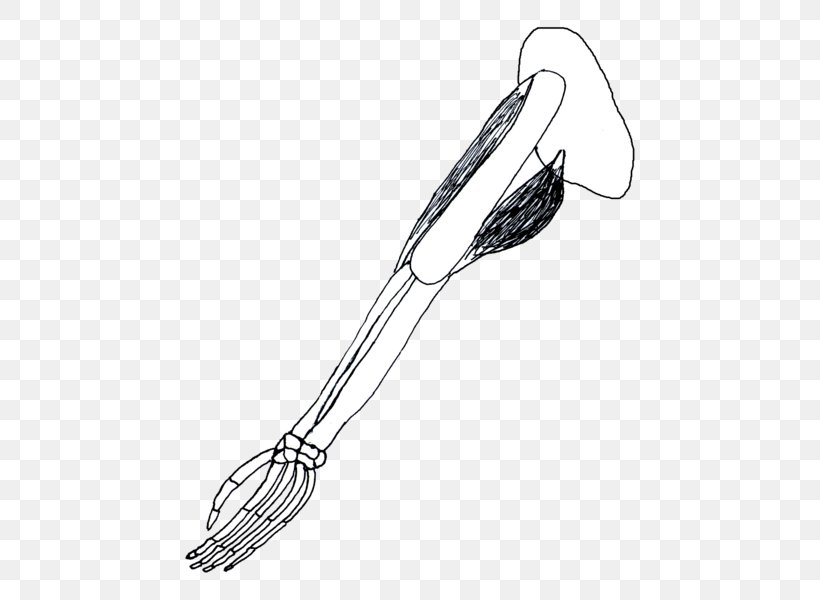 Whisk Clip Art Kitchen Utensil H&M Illustration, PNG, 494x600px, Whisk, Arm, Black And White, Bowl, Drawing Download Free
